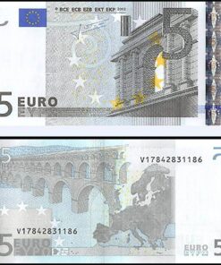 5 euro bill